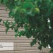Сайдинг Ю-Пласт TIMBERBLOCK Пихта (Тимберблок) Cахалинская купить в Печоре