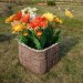 Цветник КАНЬОН купить в Печоре